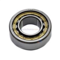 ŞANZUMAN RULMANI (26798630-İ) (NJ 2207 EM)      640 1